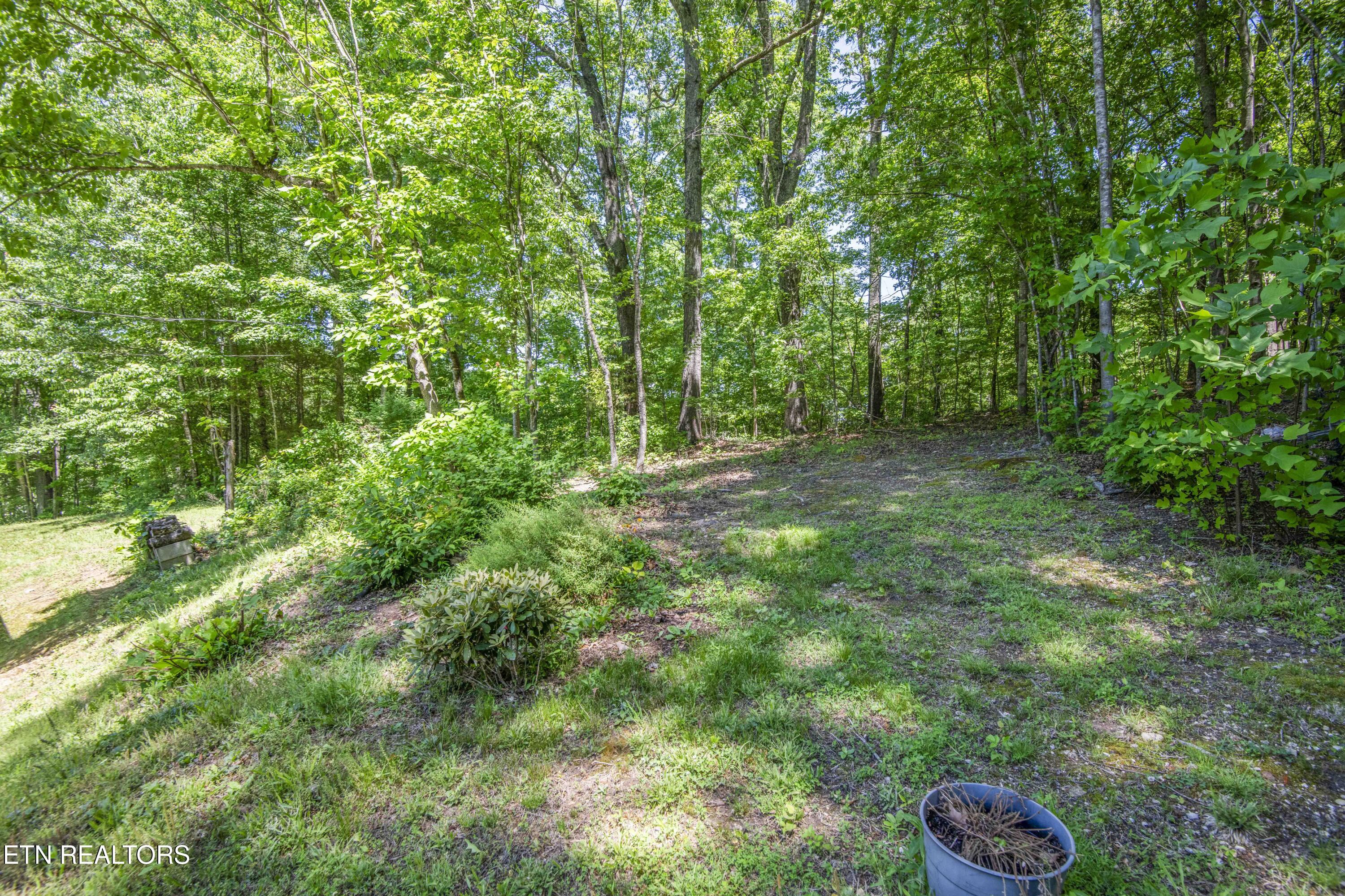 116 Stair Lane Clinton, TN 37716 - Photo 38 of 43 yard 2_1