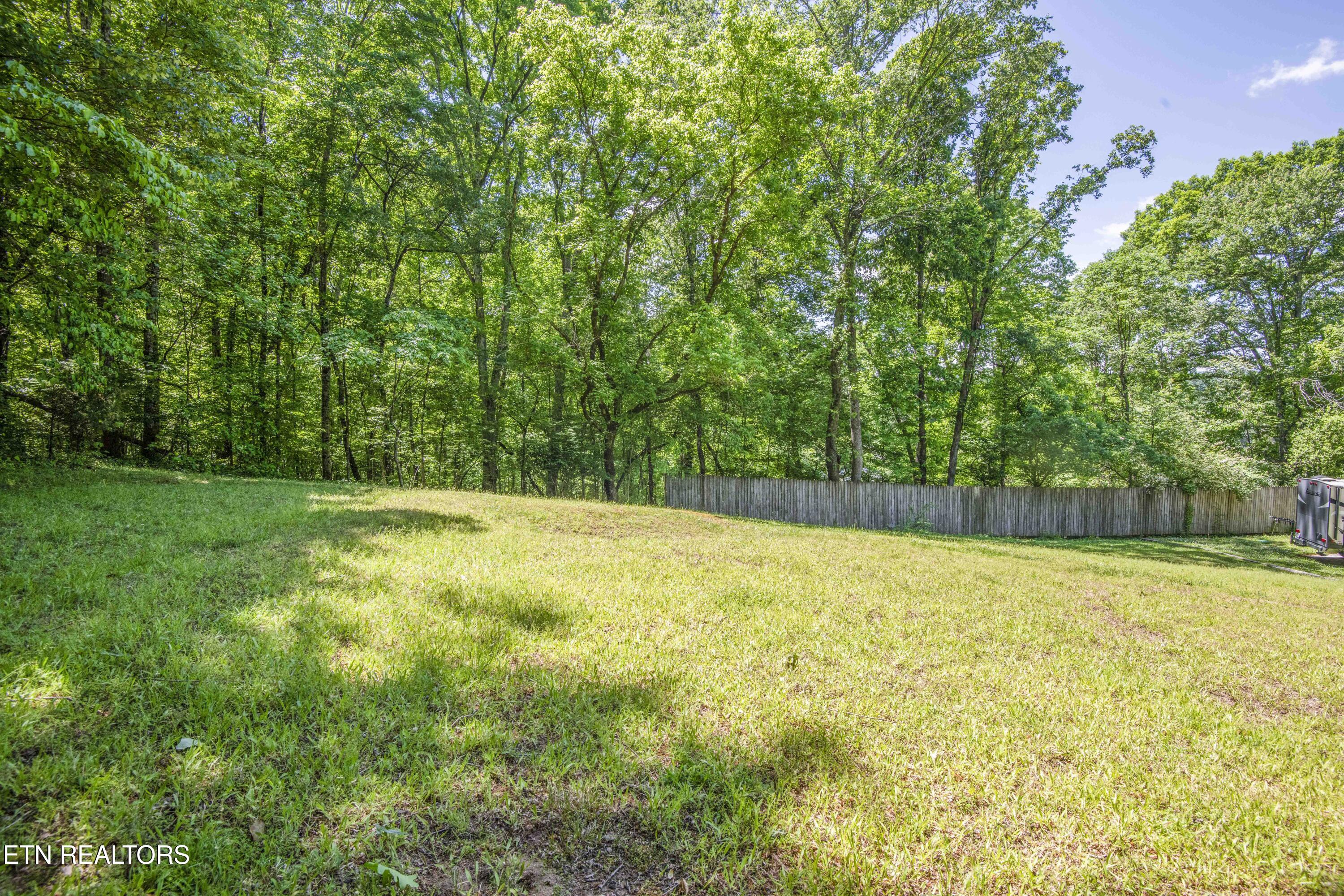 116 Stair Lane Clinton, TN 37716 - Photo 39 of 43 yard 3_1