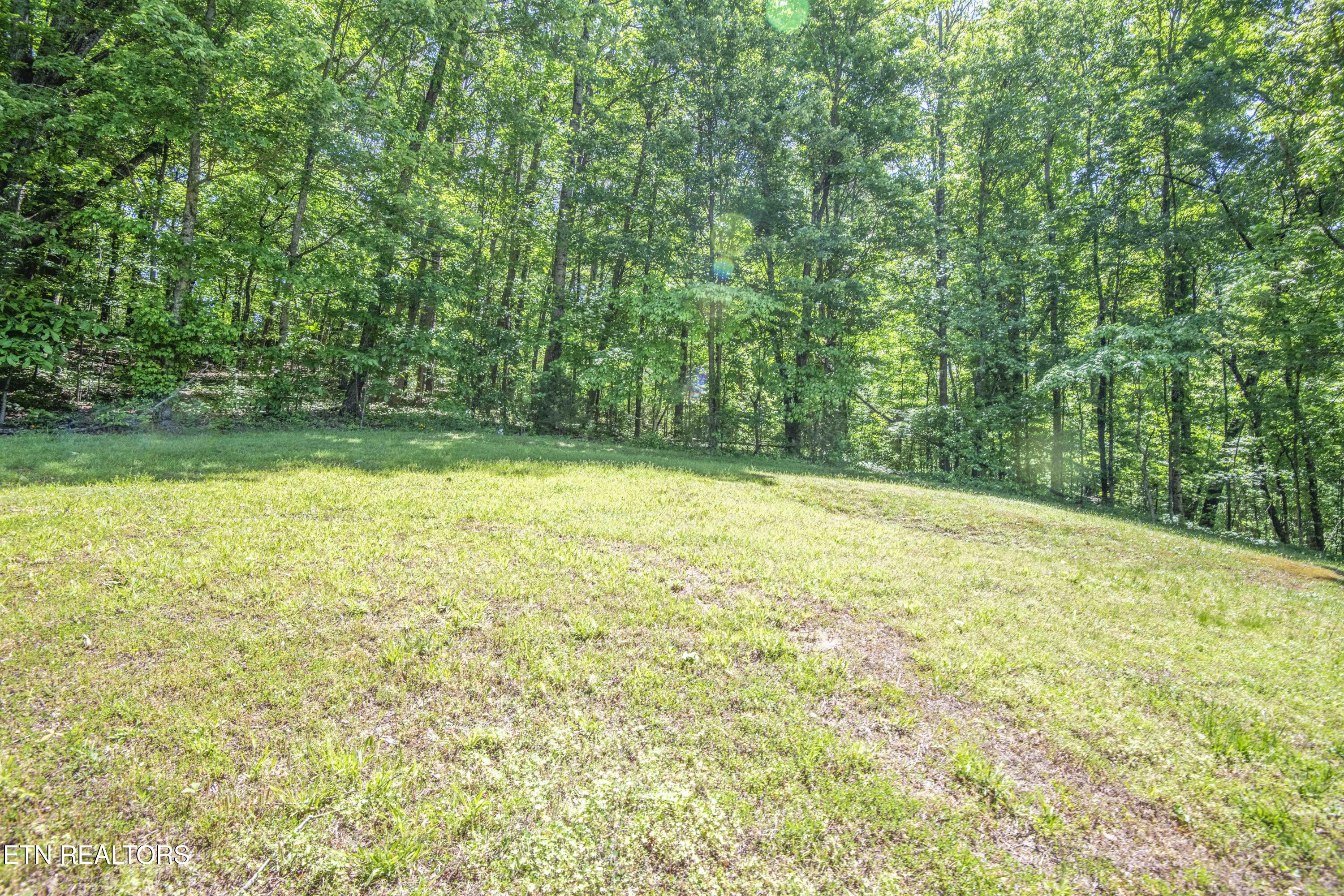 116 Stair Lane Clinton, TN 37716 - Photo 40 of 43 yard 4_1