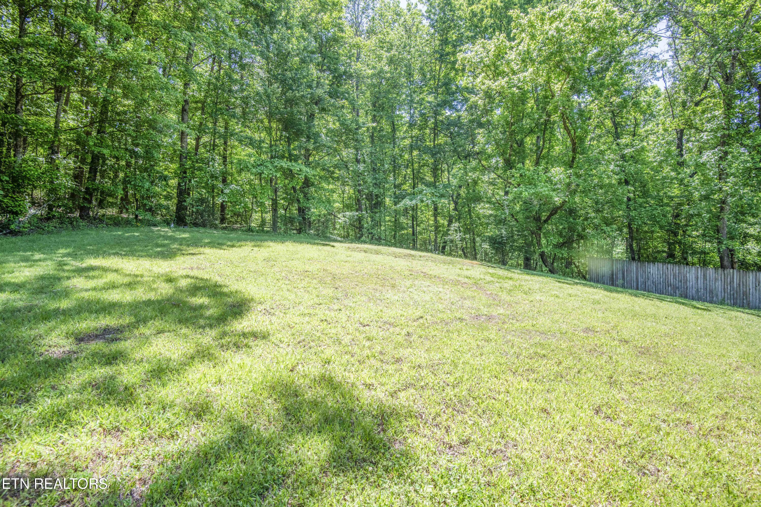 116 Stair Lane Clinton, TN 37716 - Photo 41 of 43 yard 6_1