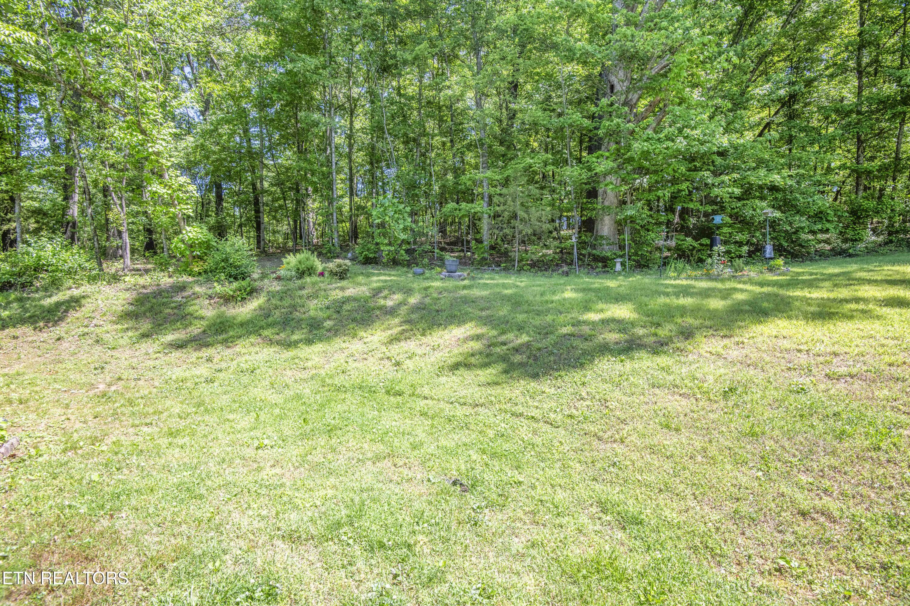 116 Stair Lane Clinton, TN 37716 - Photo 42 of 43 yard 7_1