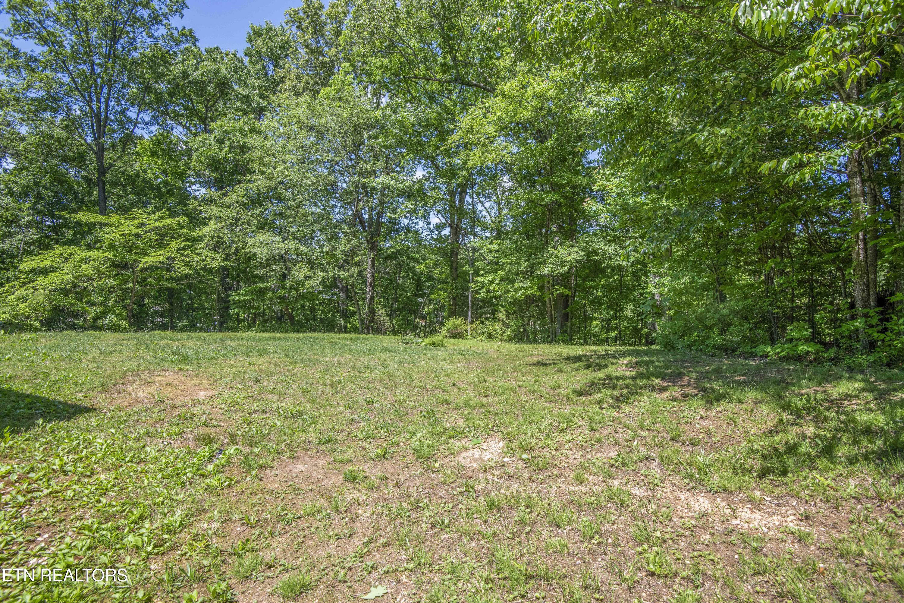 116 Stair Lane Clinton, TN 37716 - Photo 43 of 43 yard_1