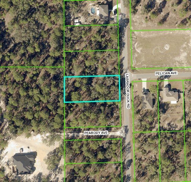 0 Labrador Duck Road Weeki Wachee, FL 34614 - Photo 1 of 1 Gallery Image 1