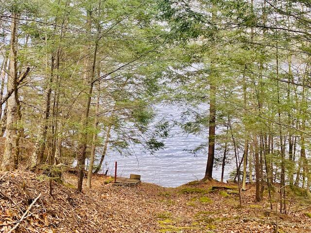 316 Patten Pond Road Surry, ME 04684 - Photo 5 of 47 Shore @ ROW