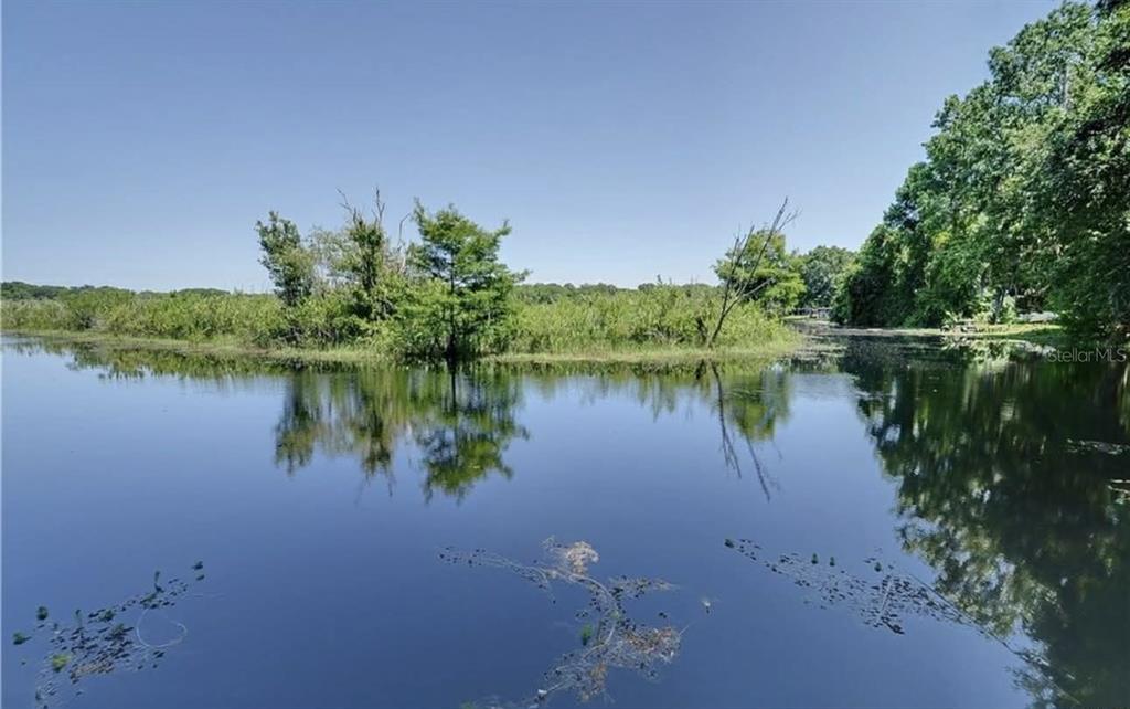 8164 East Turner Camp Road Inverness, FL 34453 - Photo 36 of 39 a backyard of a house with plants and lake view