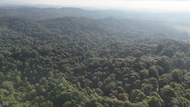 $360,000 | 8000 West County Road 225 South, Medora, IN 47260