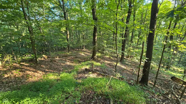 $360,000 | 8000 West County Road 225 South, Medora, IN 47260