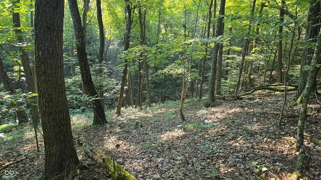 $360,000 | 8000 West County Road 225 South, Medora, IN 47260