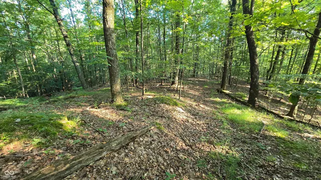 $360,000 | 8000 West County Road 225 South, Medora, IN 47260