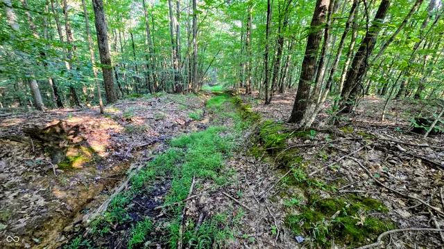 $360,000 | 8000 West County Road 225 South, Medora, IN 47260