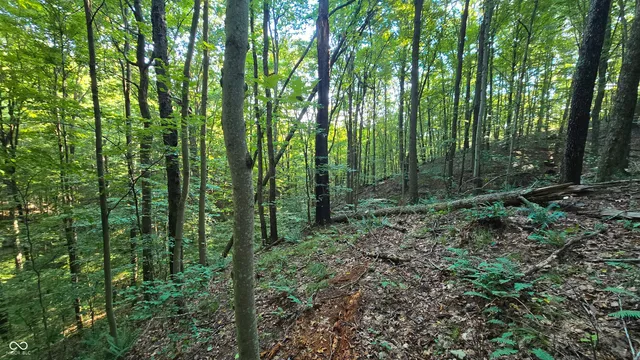 $360,000 | 8000 West County Road 225 South, Medora, IN 47260