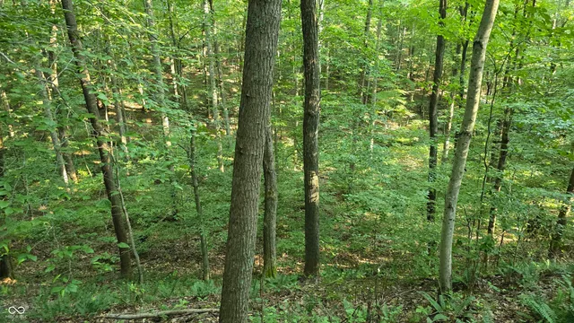 $360,000 | 8000 West County Road 225 South, Medora, IN 47260