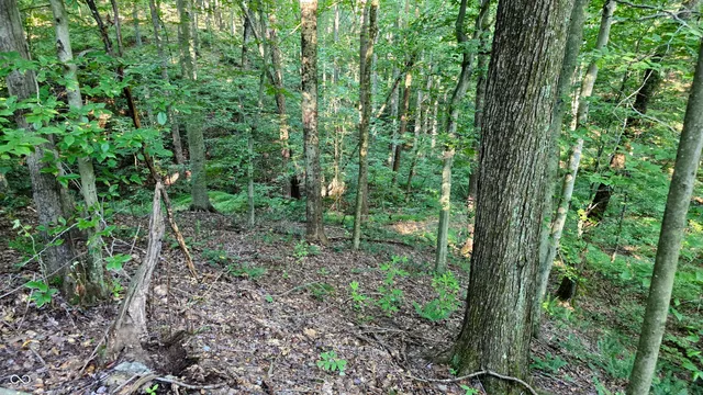 $360,000 | 8000 West County Road 225 South, Medora, IN 47260