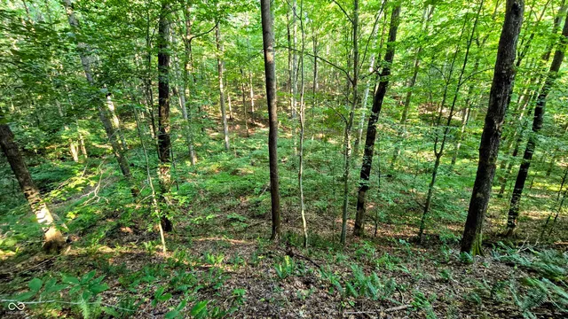 $360,000 | 8000 West County Road 225 South, Medora, IN 47260