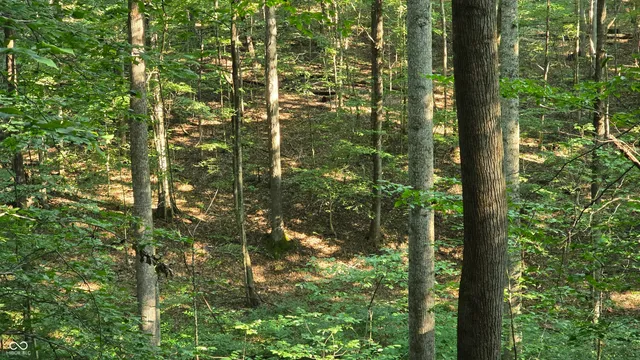 $360,000 | 8000 West County Road 225 South, Medora, IN 47260