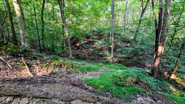 $360,000 | 8000 West County Road 225 South, Medora, IN 47260