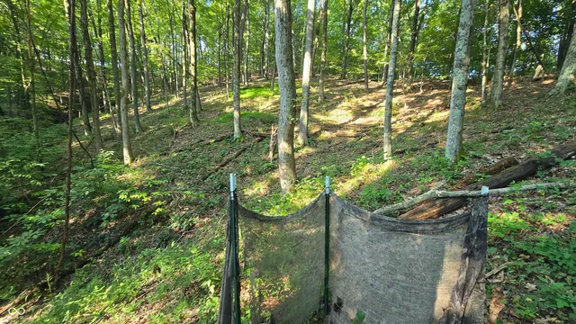 $360,000 | 8000 West County Road 225 South, Medora, IN 47260