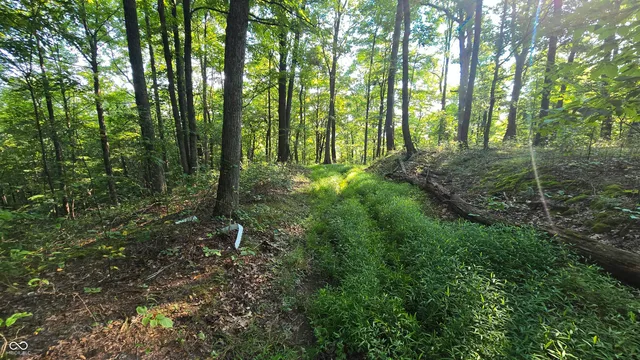 $360,000 | 8000 West County Road 225 South, Medora, IN 47260