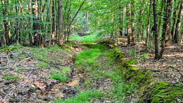 $360,000 | 8000 West County Road 225 South, Medora, IN 47260