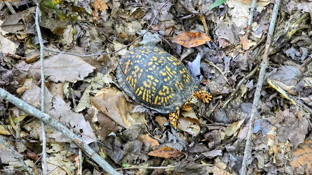 $360,000 | 8000 West County Road 225 South, Medora, IN 47260