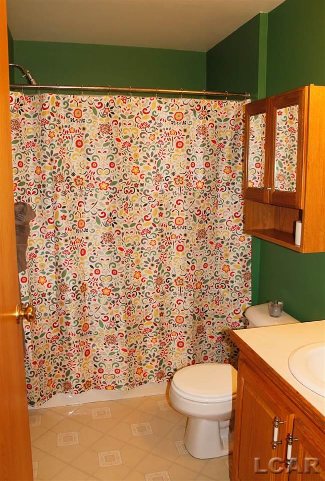 6719 Pocklington Road Britton, MI 49229 - Photo 21 of 32 Full Bath