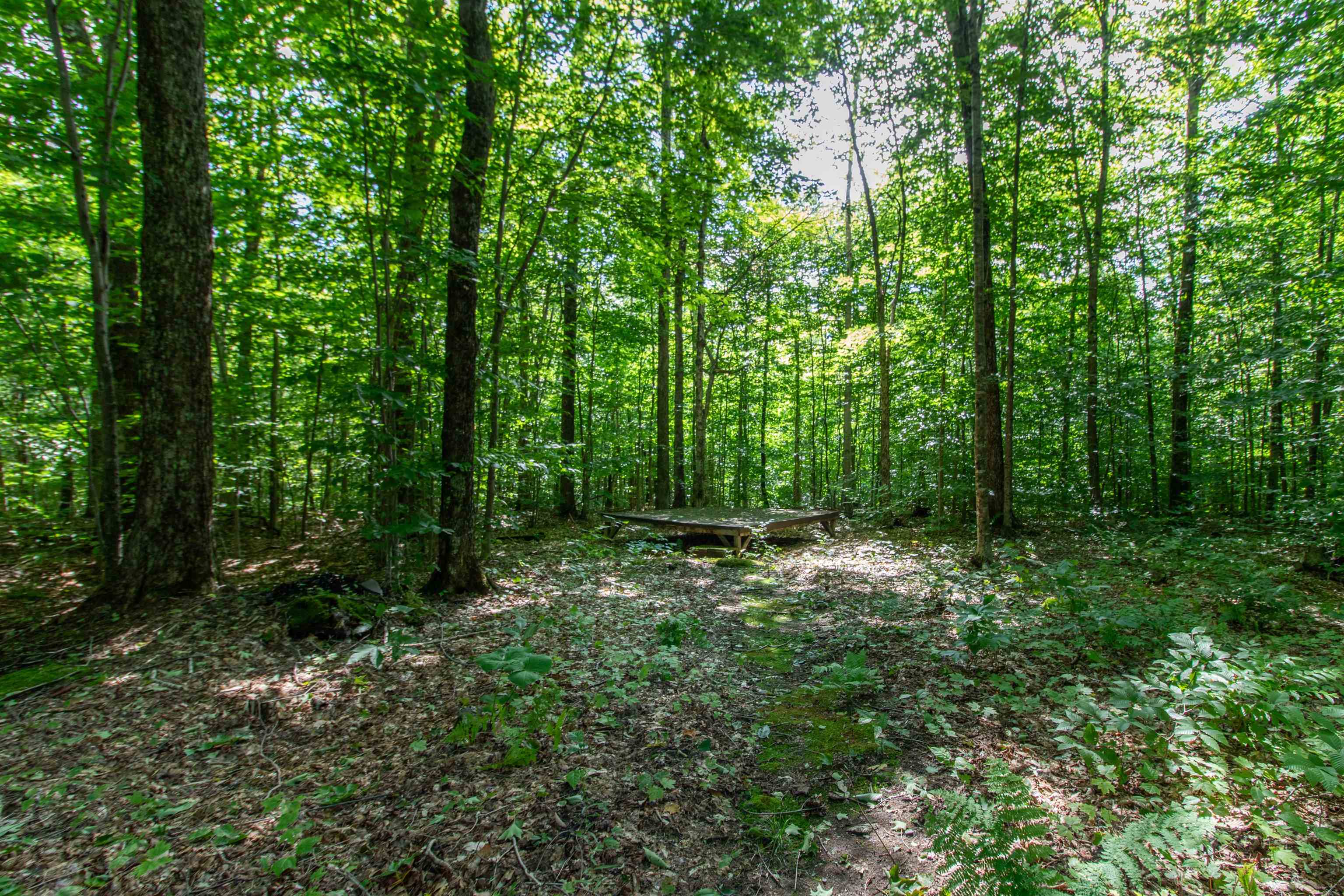 390 Camp Road Burke, VT 05832 - Photo 10 of 19