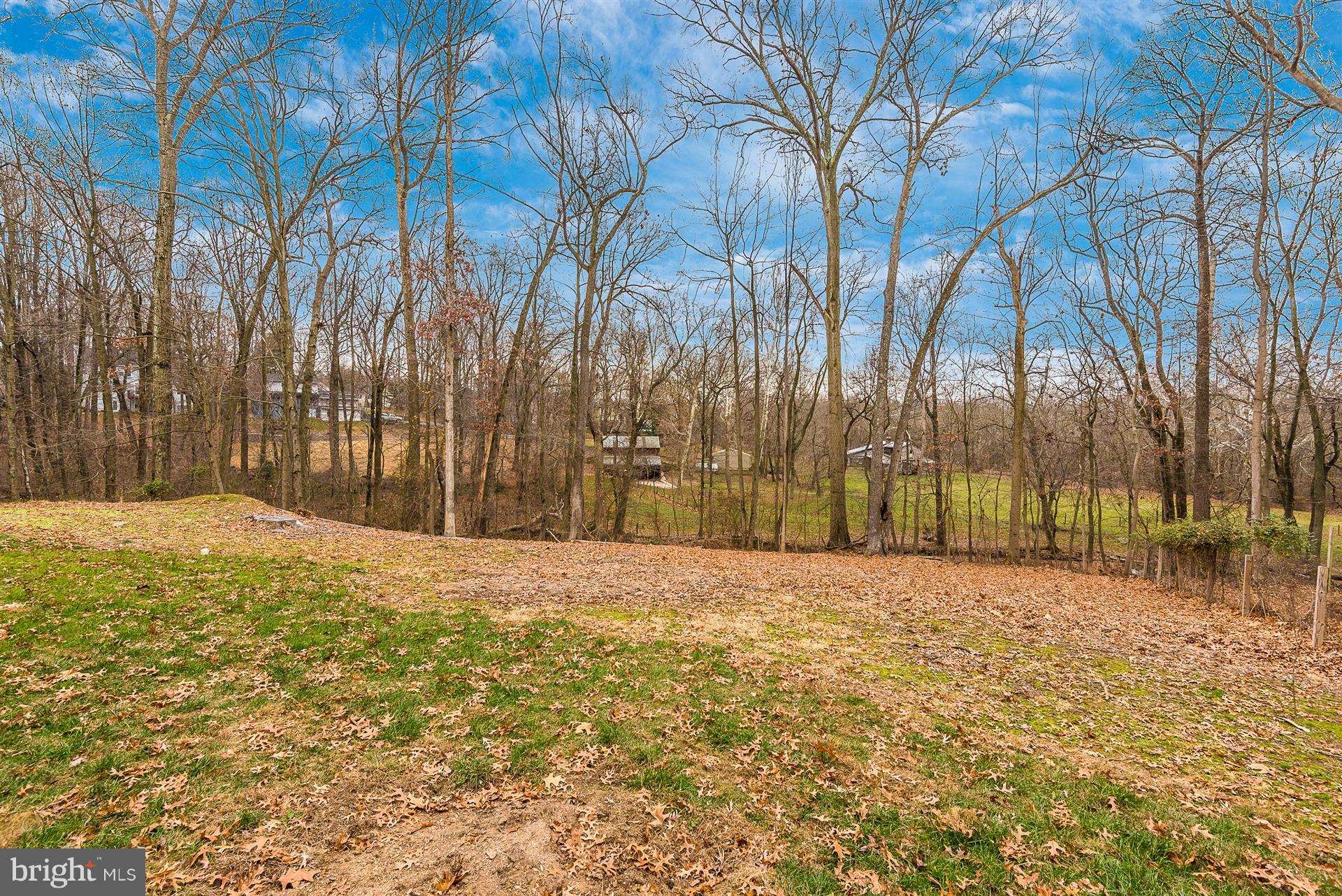 9416 Emory Grove Road Gaithersburg, MD 20877 - Photo 6 of 30 a view of yard with trees