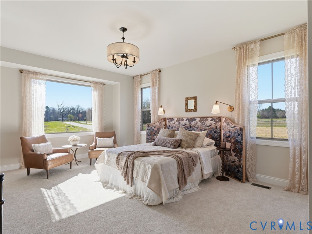 2586 Maidens Road Powhatan, VA 23139 - Photo 14 of 24