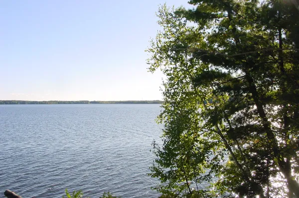 $49,900 | Lot 6 Mae West Road, Ladysmith, WI 54848