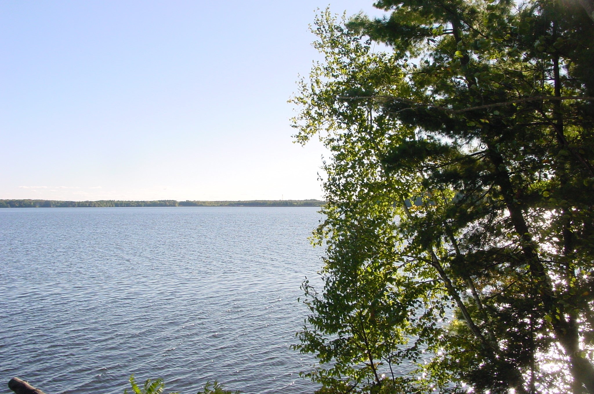Lot 6 Mae West Road Ladysmith, WI 54848 - Photo 1 of 16 Gallery Image 1