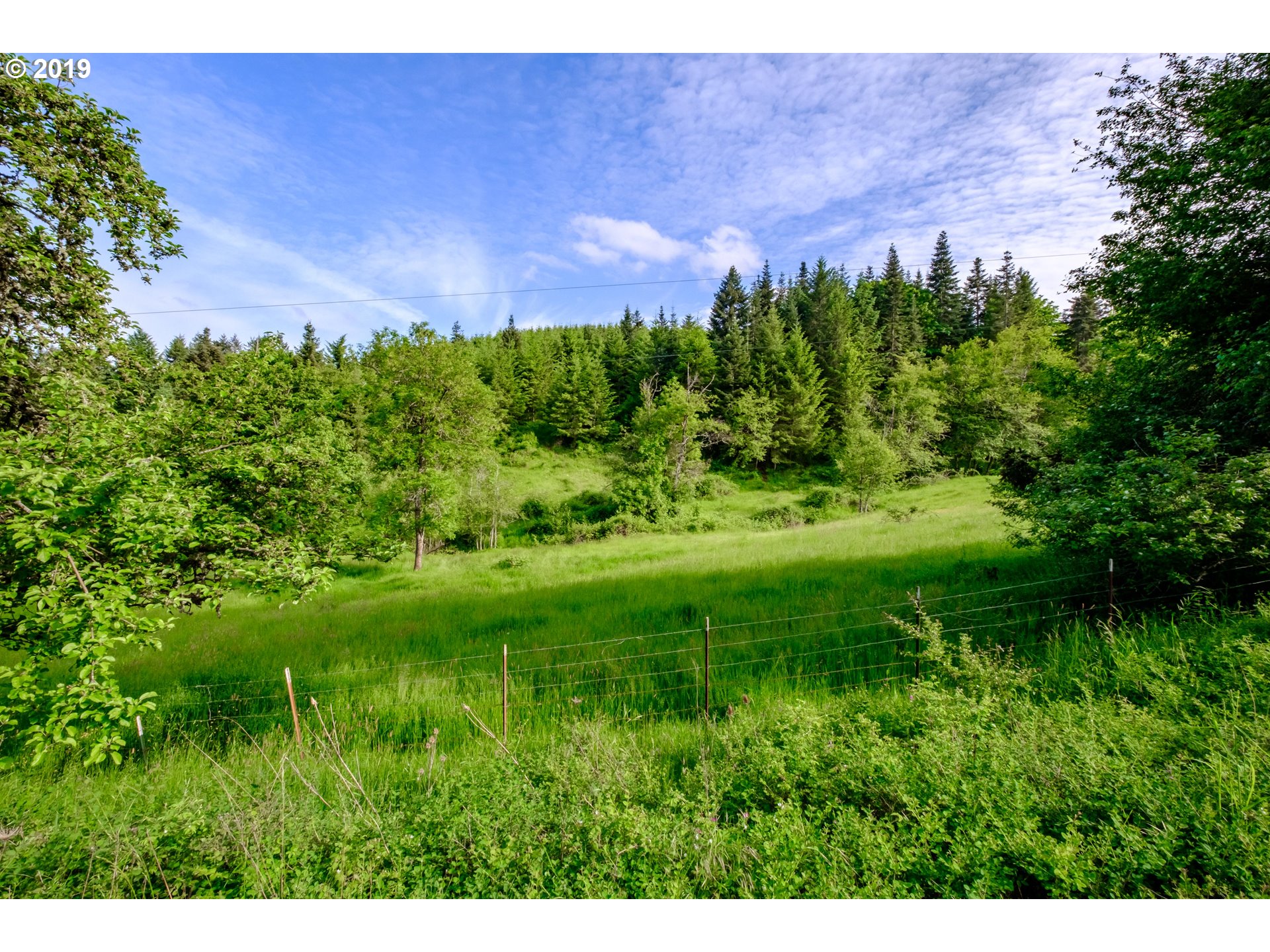 605 Middle Ridge Road Lebanon, OR 97355 - Photo 11 of 12 Gallery Image 11