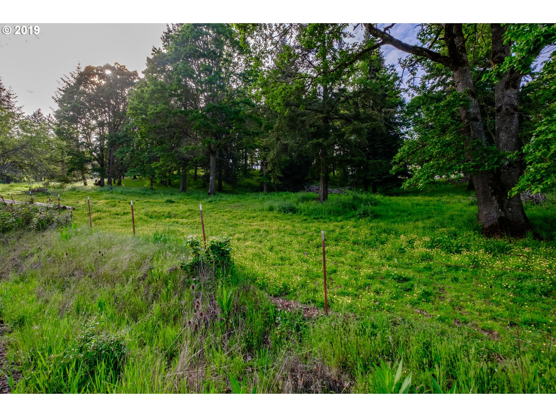 605 Middle Ridge Road Lebanon, OR 97355 - Photo 12 of 12 Gallery Image 12