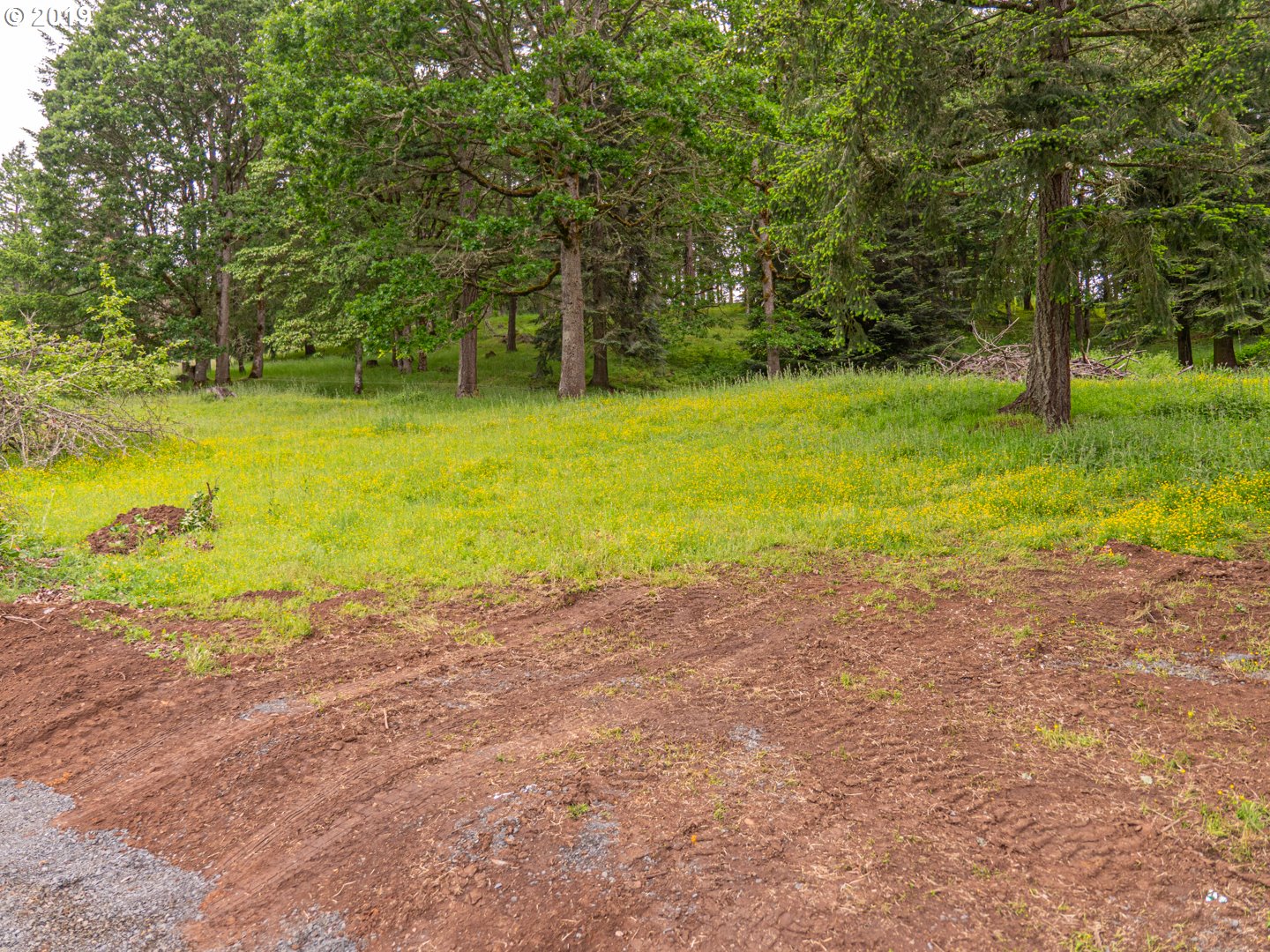 605 Middle Ridge Road Lebanon, OR 97355 - Photo 3 of 12 Gallery Image 3