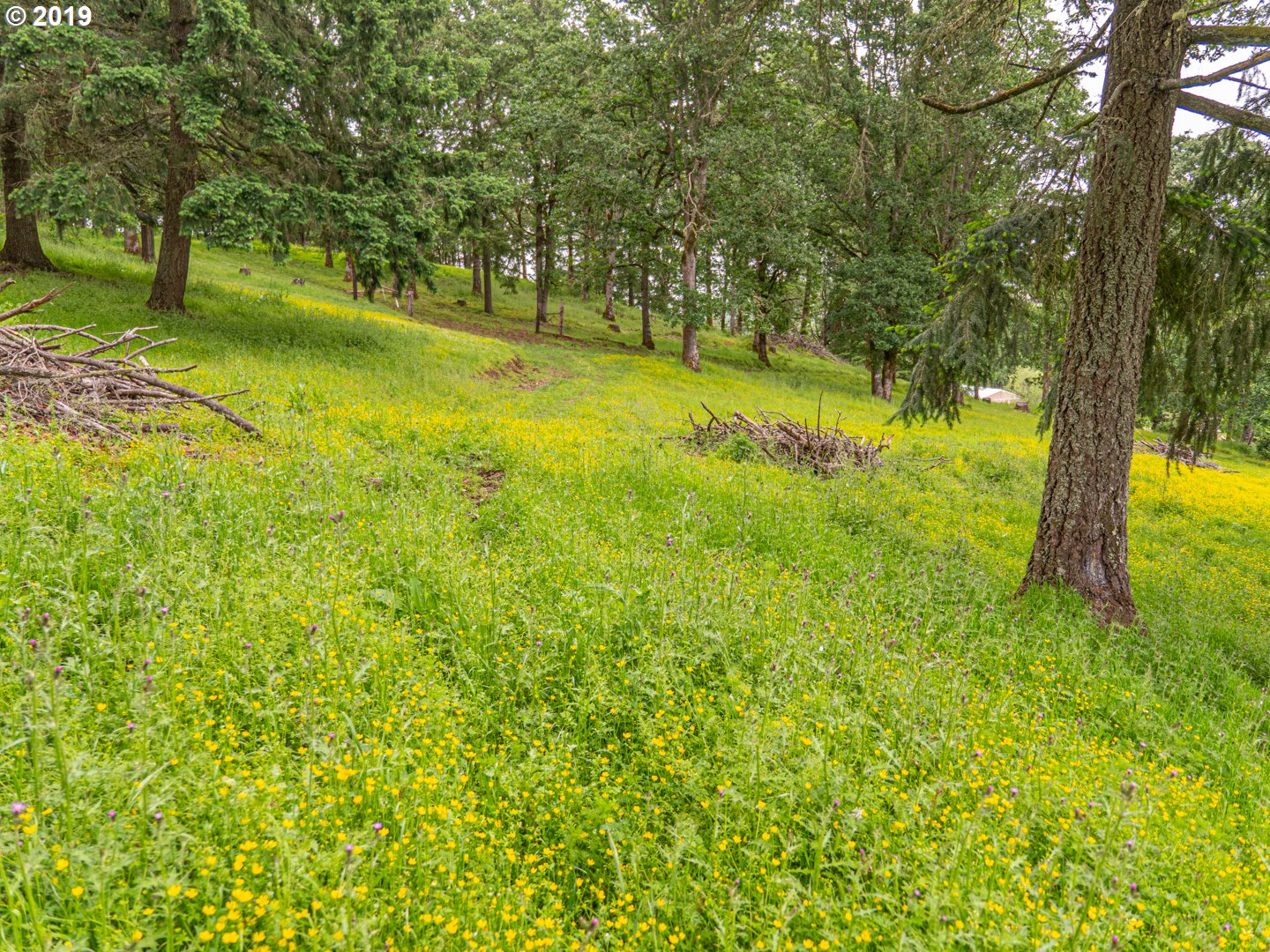 605 Middle Ridge Road Lebanon, OR 97355 - Photo 4 of 12 Gallery Image 4