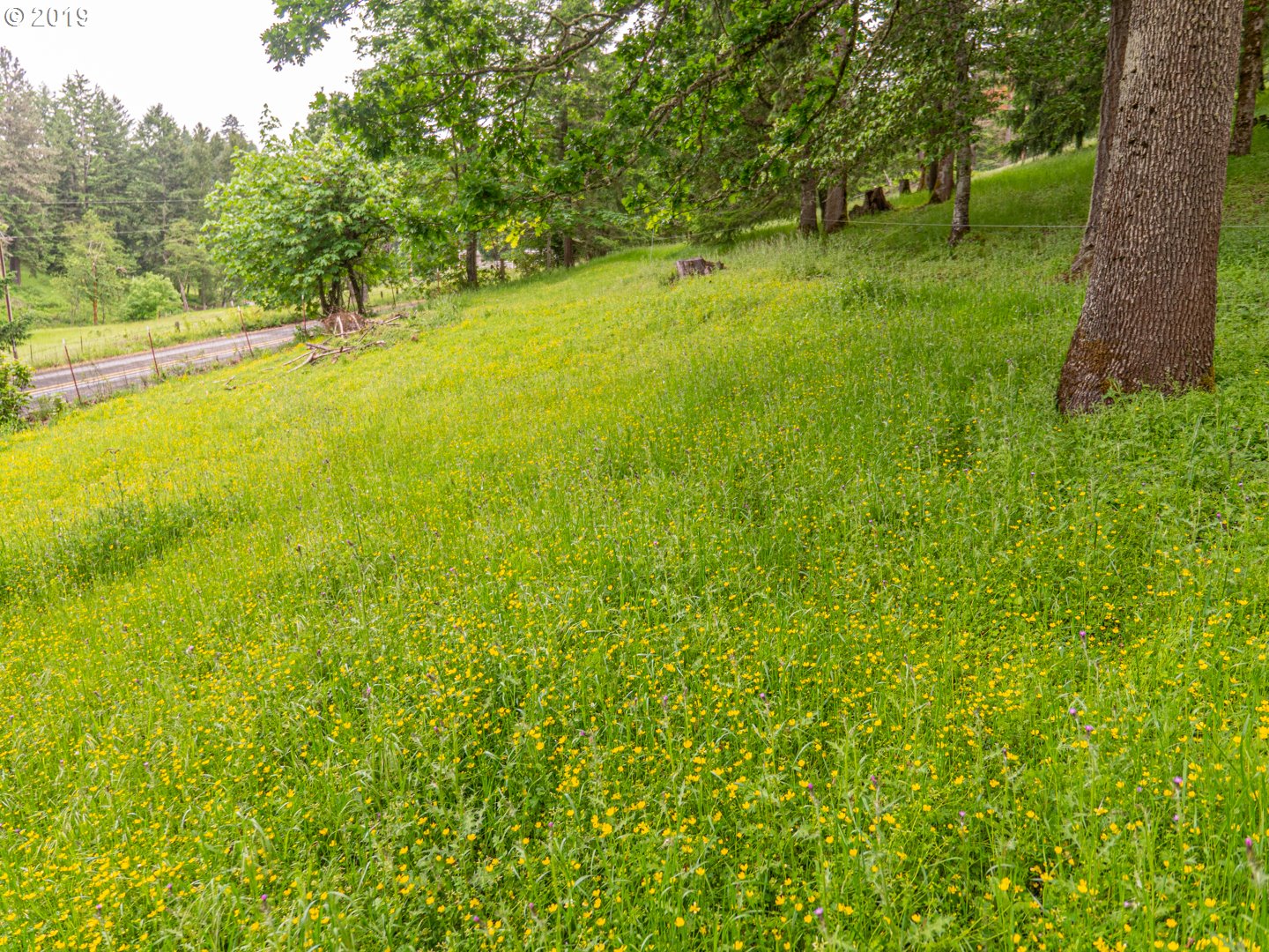 605 Middle Ridge Road Lebanon, OR 97355 - Photo 5 of 12 Gallery Image 5