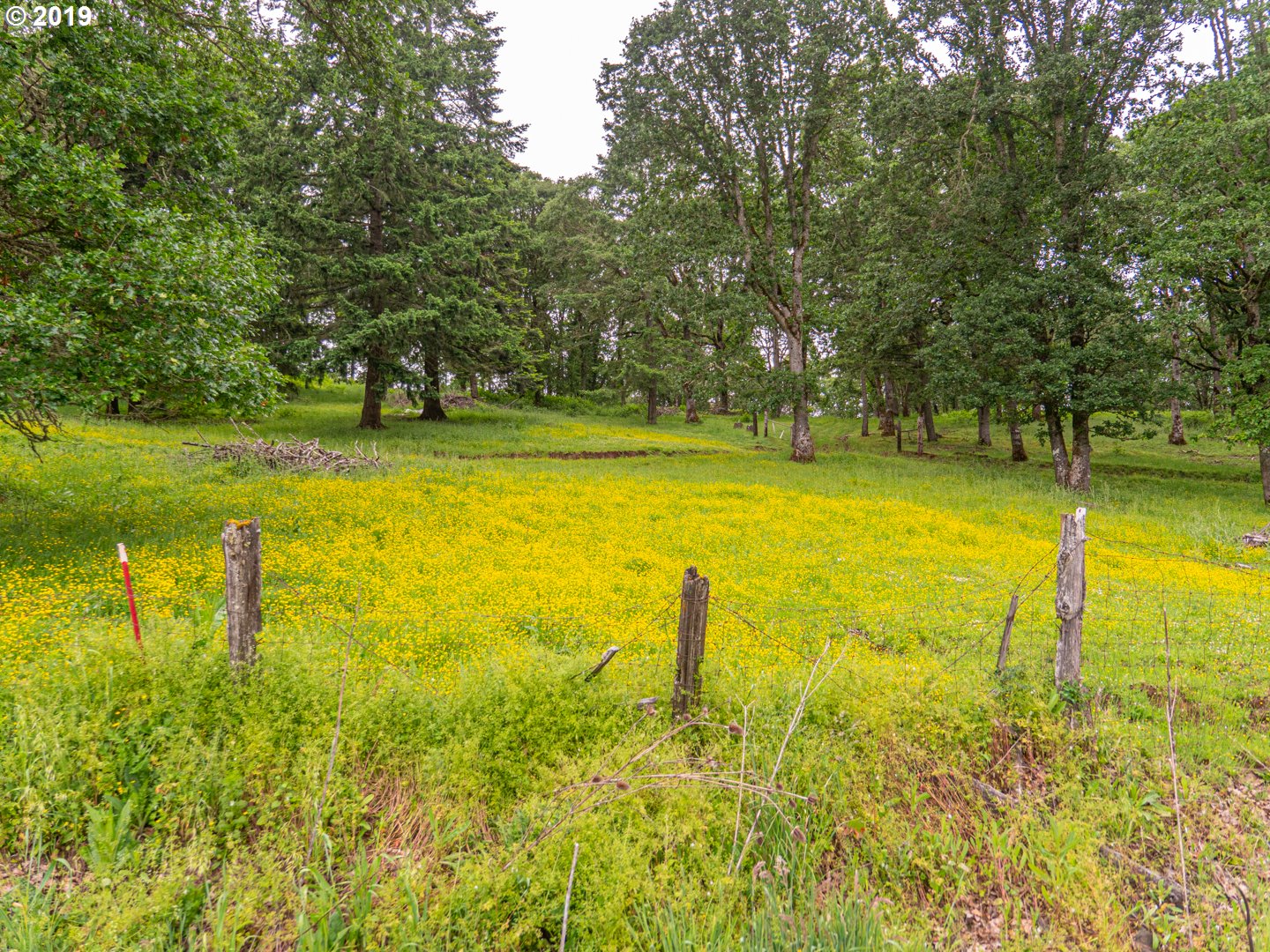 605 Middle Ridge Road Lebanon, OR 97355 - Photo 6 of 12 Gallery Image 6