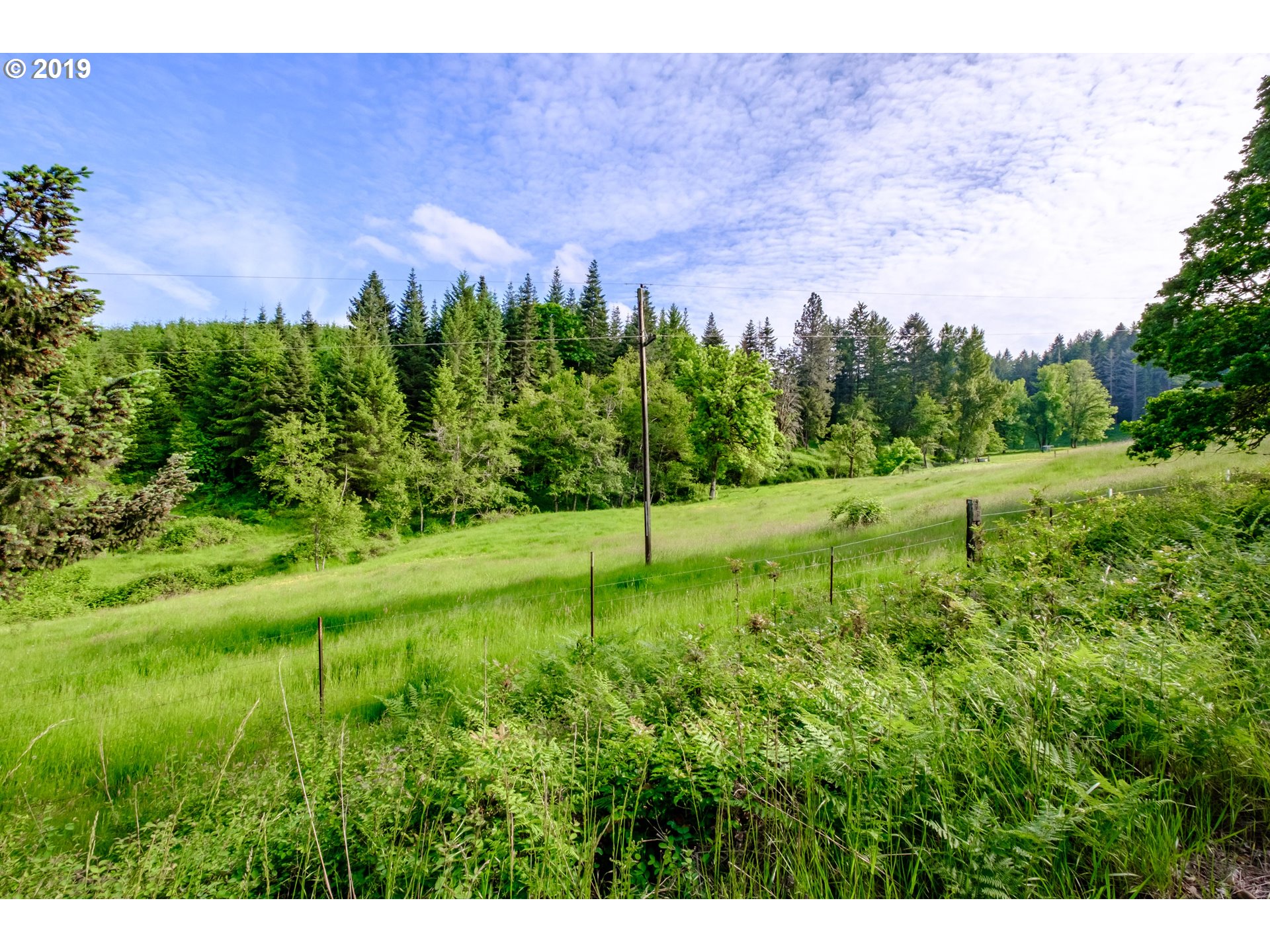 605 Middle Ridge Road Lebanon, OR 97355 - Photo 10 of 12 Gallery Image 10