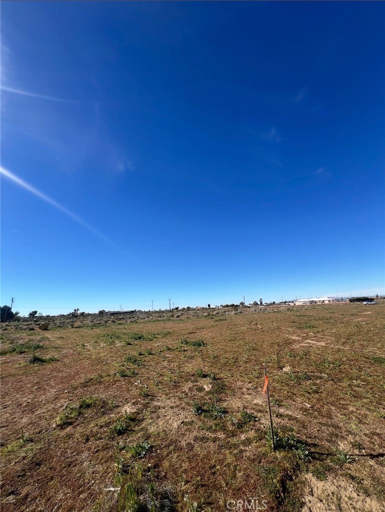 0 Sequoia Phelan, CA 92371 - Photo 2 of 4 a view of an ocean