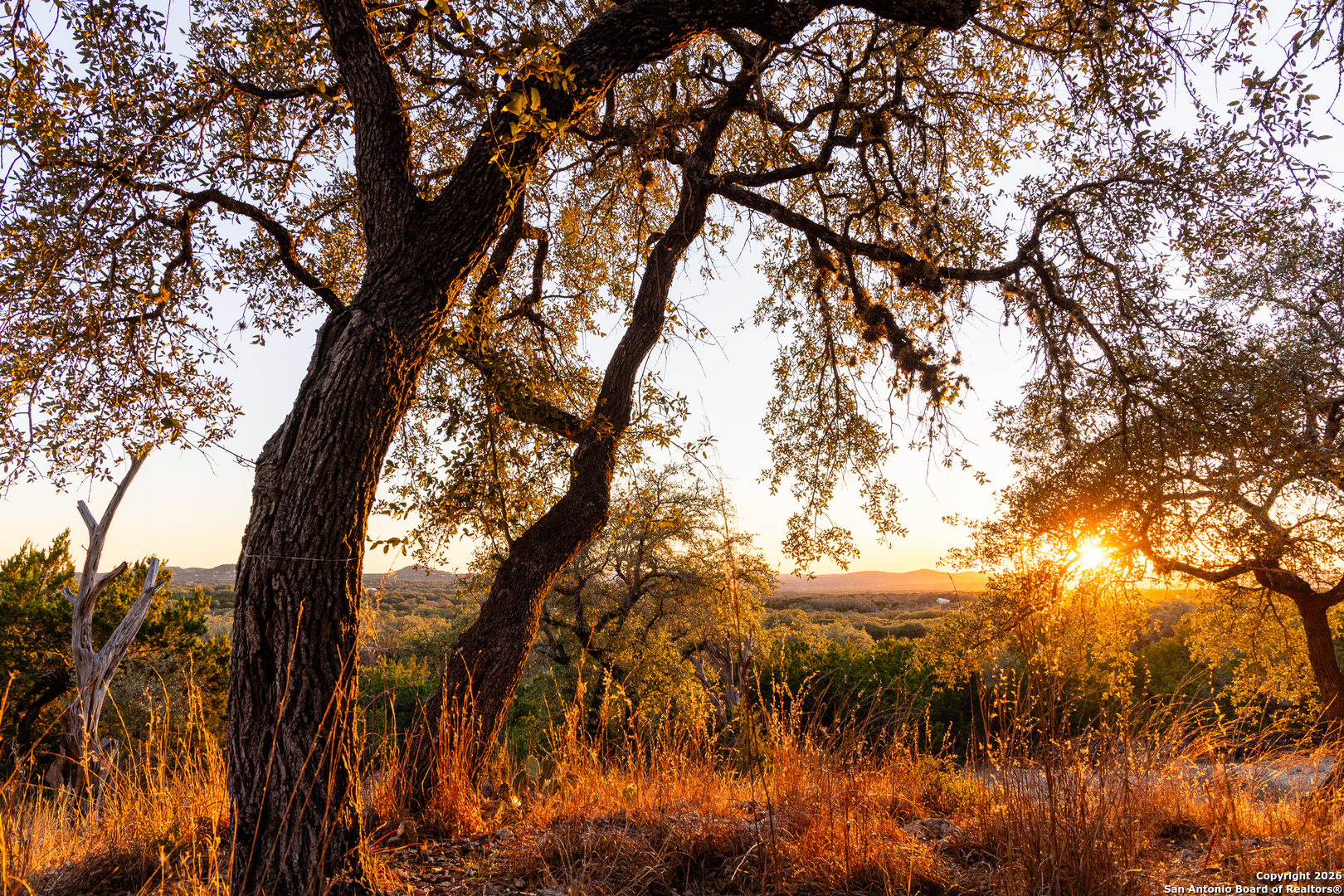 488 Phillip Drive Pipe Creek, TX 78063 - Photo 35 of 50
