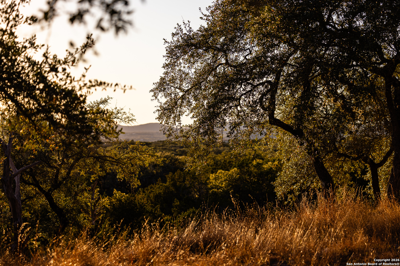 488 Phillip Drive Pipe Creek, TX 78063 - Photo 39 of 50