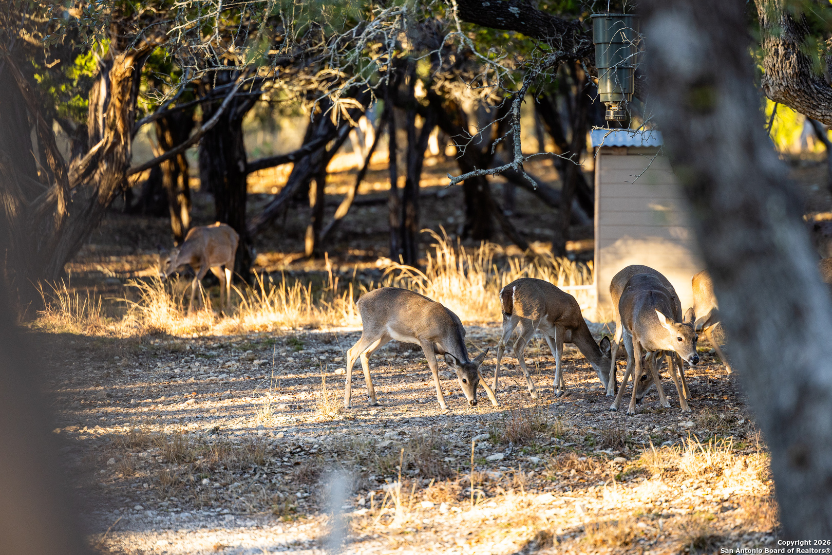 488 Phillip Drive Pipe Creek, TX 78063 - Photo 41 of 50