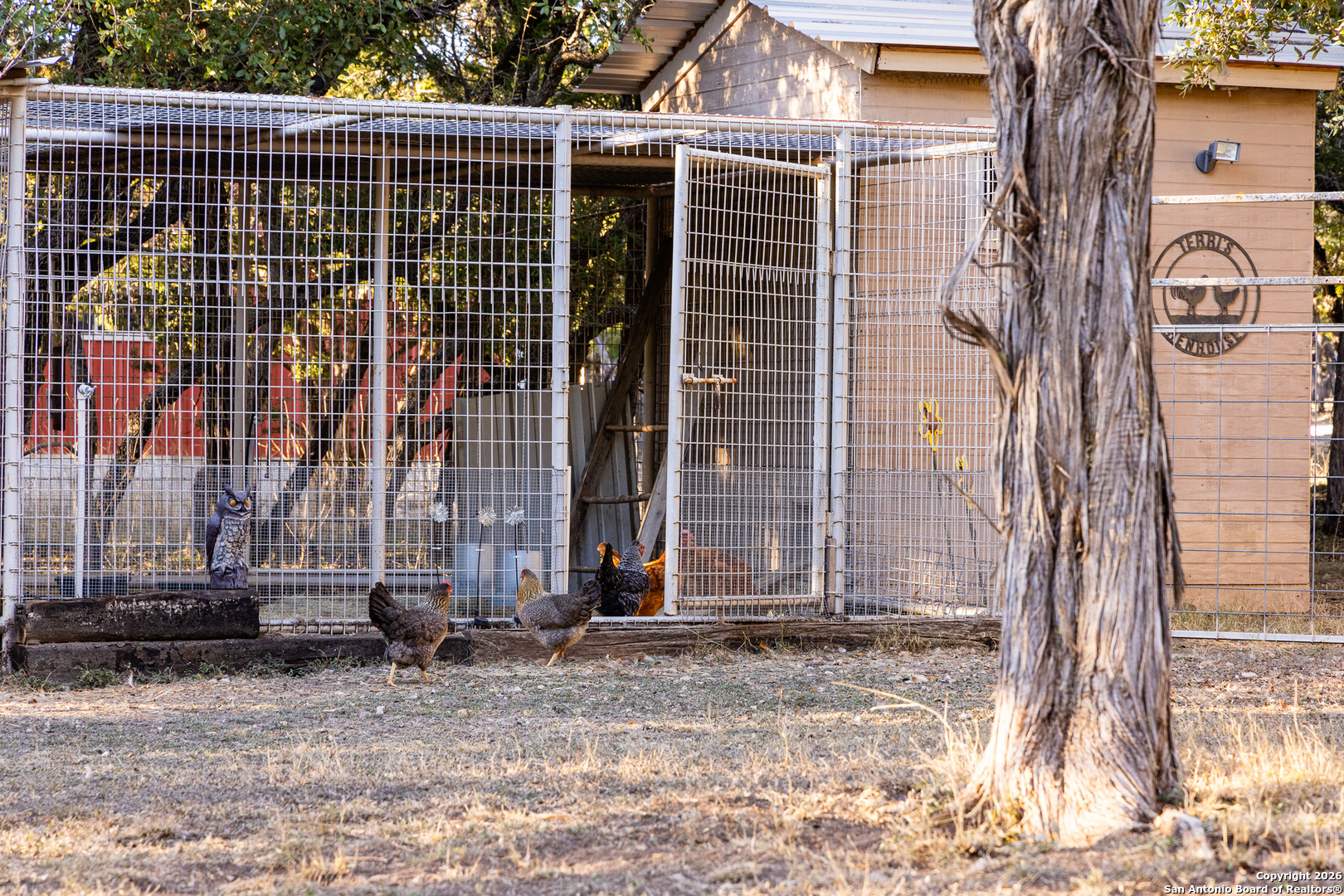 488 Phillip Drive Pipe Creek, TX 78063 - Photo 42 of 50