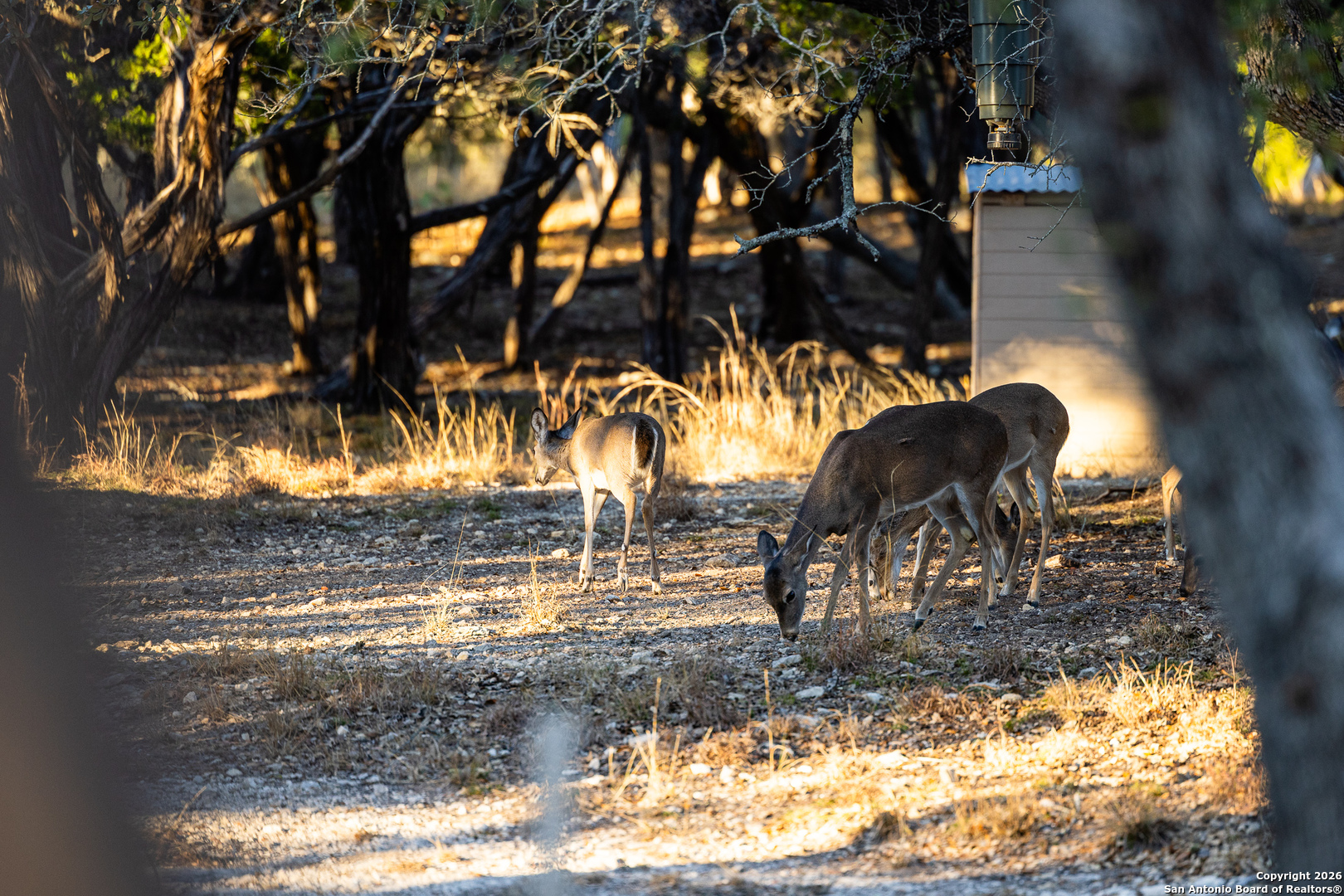 488 Phillip Drive Pipe Creek, TX 78063 - Photo 44 of 50