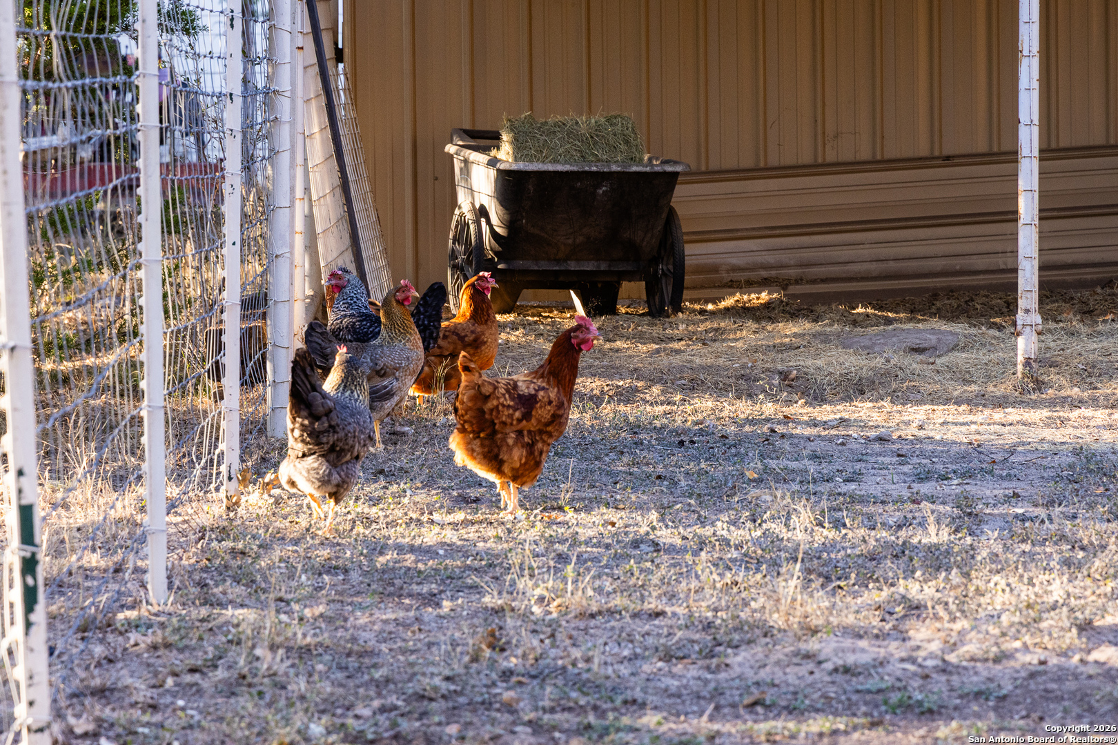 488 Phillip Drive Pipe Creek, TX 78063 - Photo 47 of 50