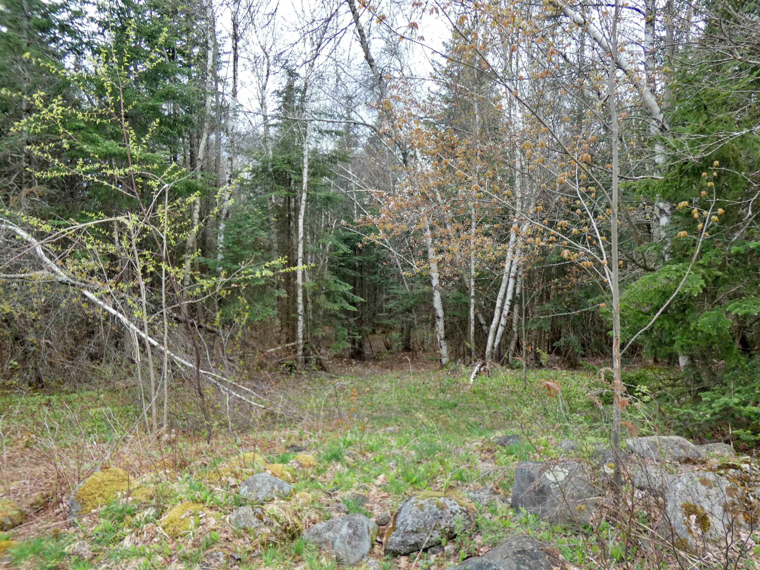 2723 Carter Road Lowell, VT 05847 - Photo 10 of 10 Gallery Image 10