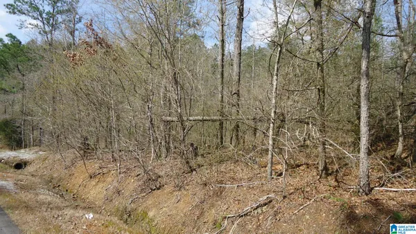 $120,000 | 551 Grayton Road South, Ohatchee, AL 36271