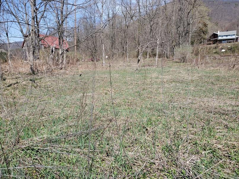 Hyner River Road North Bend, PA 17760 - Photo 3 of 6 Gallery Image 3
