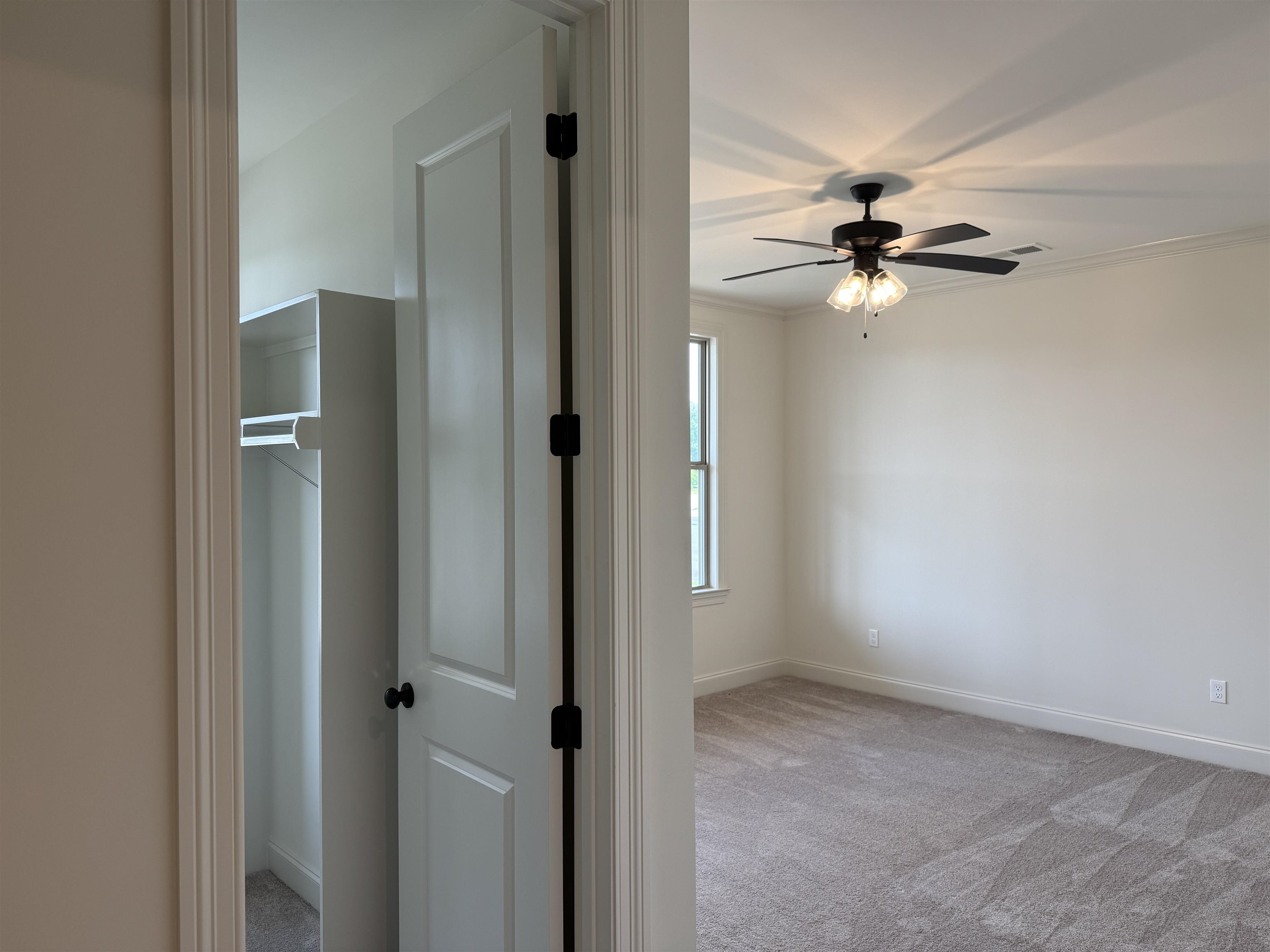 817 Bellflower Way Collierville, TN 38017 - Photo 11 of 24