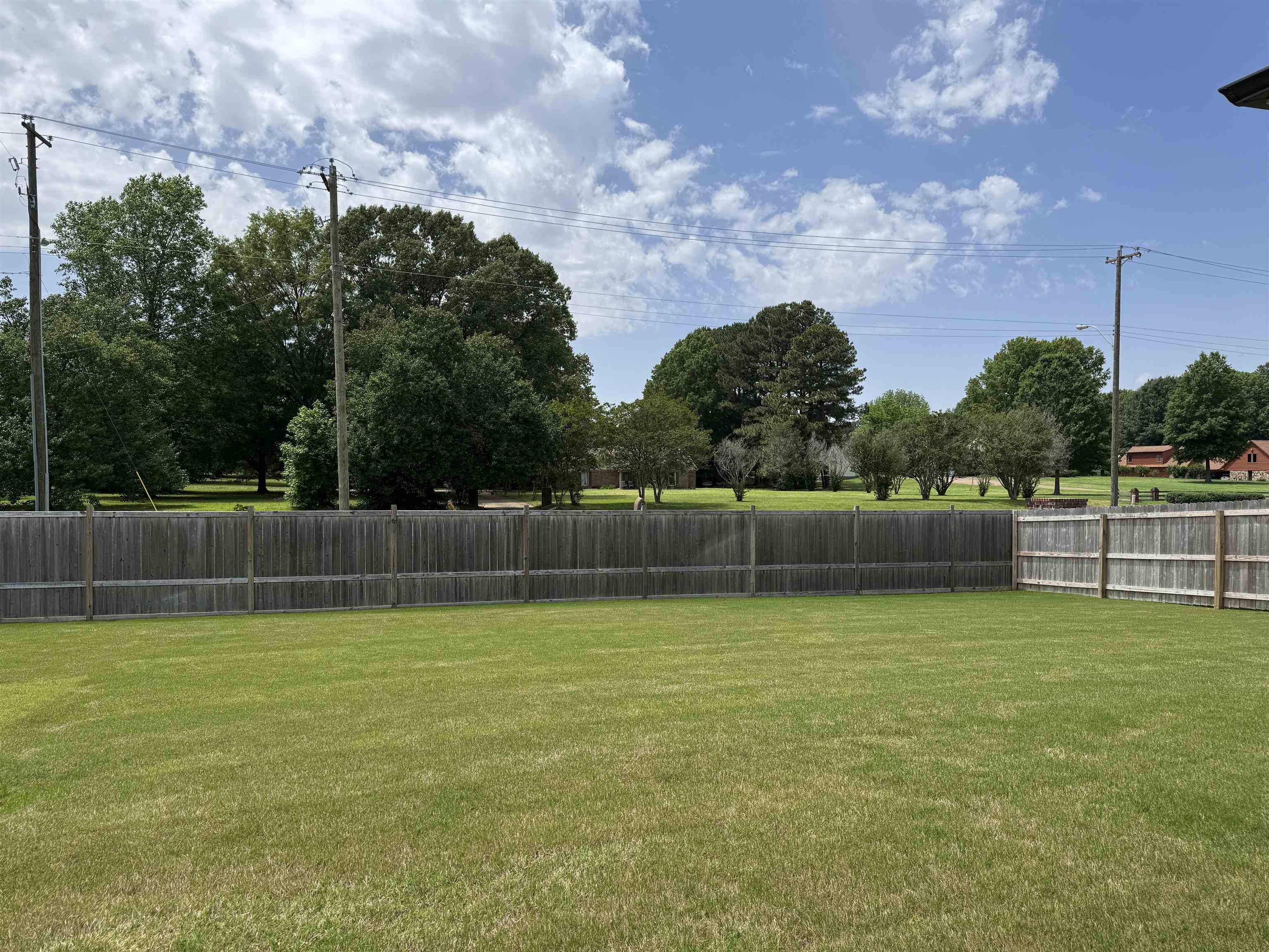 817 Bellflower Way Collierville, TN 38017 - Photo 23 of 24