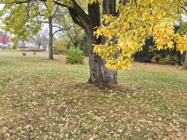 $99,900 | 219 Fairmont Avenue, Sherburn, MN 56171